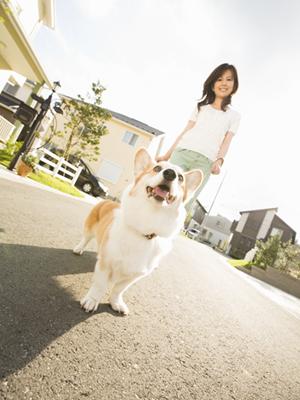 ペット保険を利用して動物病院を受診する