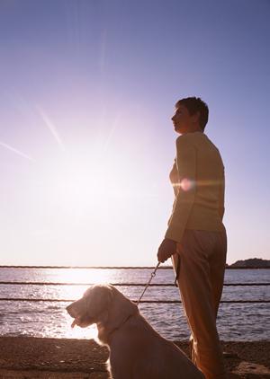 お洒落な犬用品が買える代官山のセレクトショップ