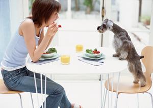 札幌市中央区の動物病院「緑の森どうぶつ病院 さっぽろ病院」? 完全分離の猫・犬専用フロアと信頼の医療設備