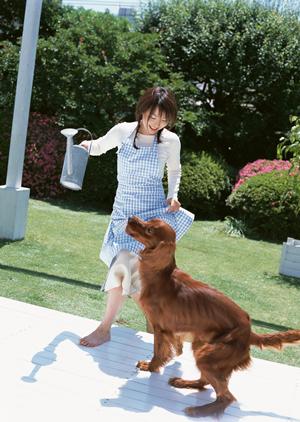 ティーカッププードルを購入したい