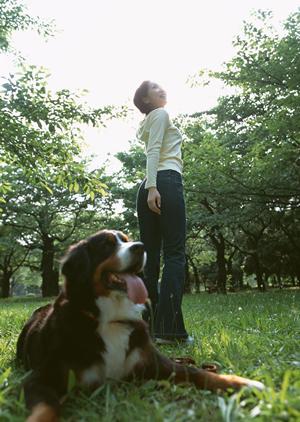 2025年最新版！信頼できるフレンチブルドッグブリーダーと選び方ガイド